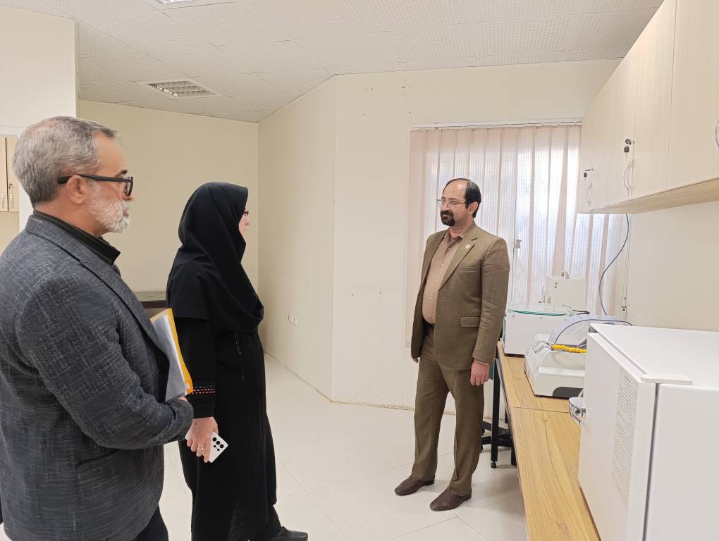 بازدید