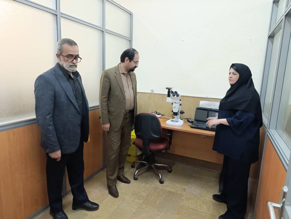 بازدید