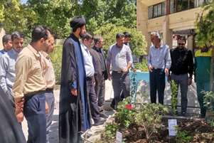 به مناسبت روز گل و گیاه؛ توسعه فضای سبز در دانشکده دندانپزشکی دانشگاه علوم پزشکی شیراز
