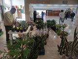برپایی نمایشگاه گل و گیاهان آپارتمانی و محصولات غذایی خانگی در دانشکده دندانپزشکی
