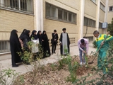 برگزاری آیین روز درختکاری و کاشت نهال در دانشکده دندانپزشکی شیراز