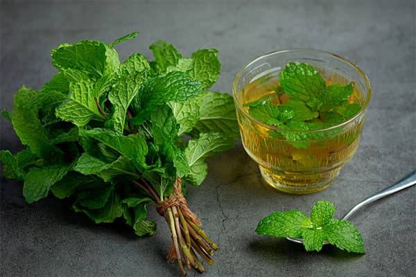 تأثیرعصاره برخی سبزیجات خوراکی بر کاهش پوسیدگی دندان 
