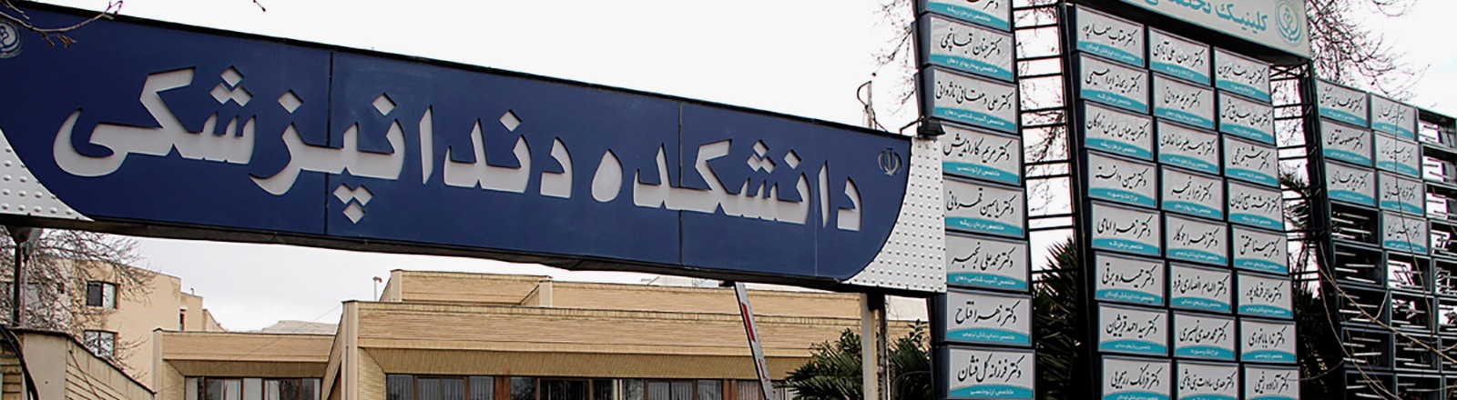 Dental University